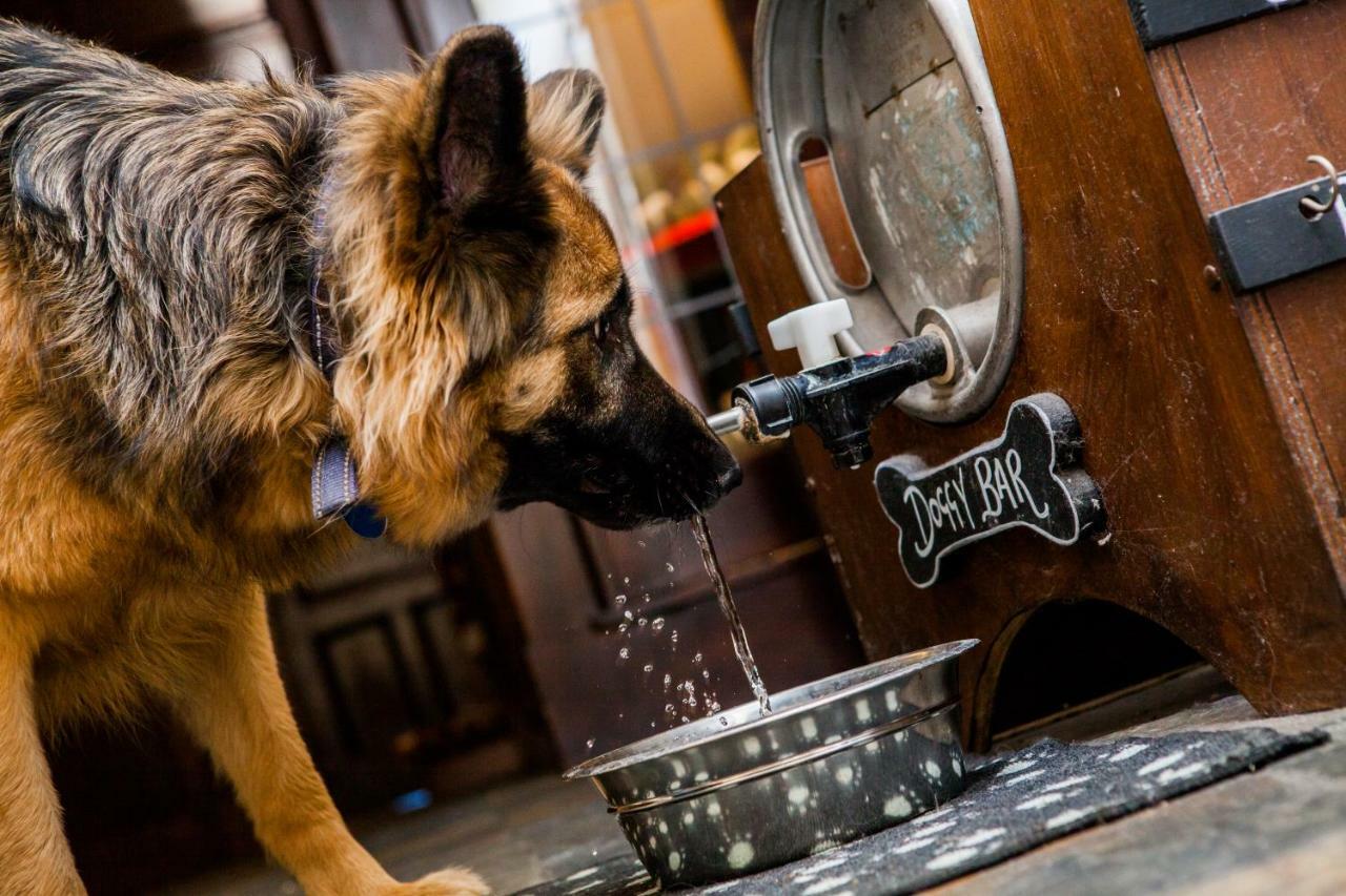 The Red Lion 5* Cromer